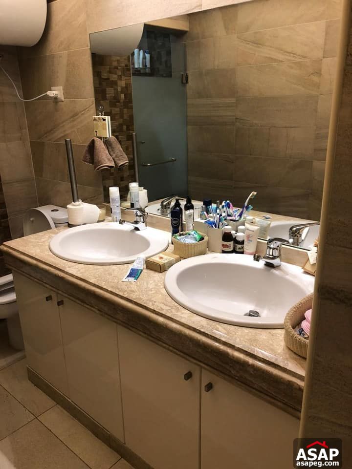 Apartment for Rent in Zamalek Apartment for Rent in Zamalek