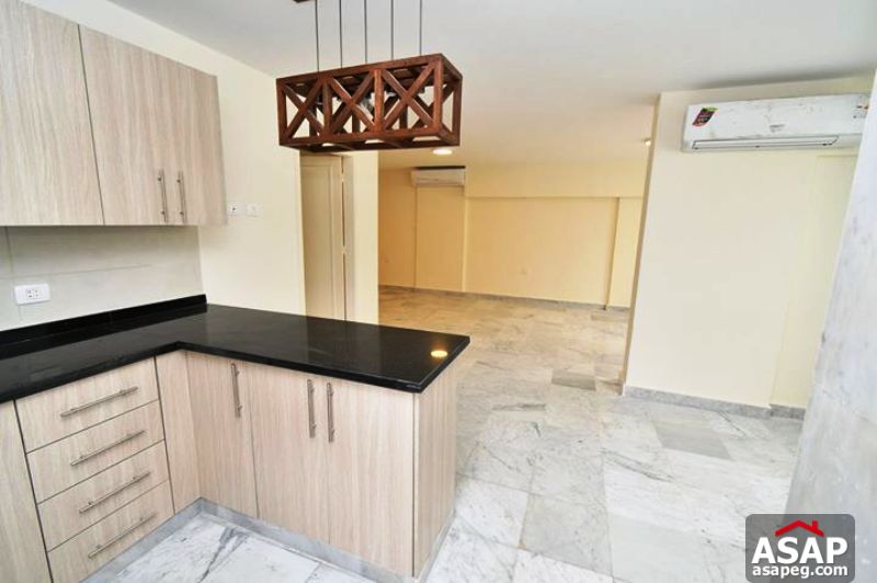 Apartment for Rent in Zamalek Apartment for Rent in Zamalek