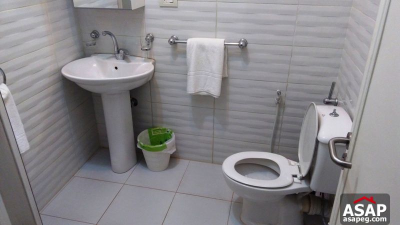 Apartment for Rent in Zamalek