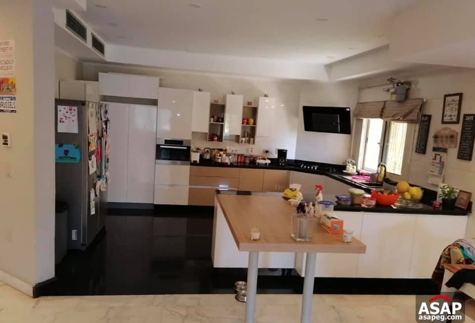 Apartments for Rent in New Cairo