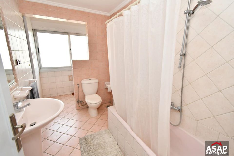 Furnished Flat for Rent in Zamalek Furnished Flat for Rent in Zamalek