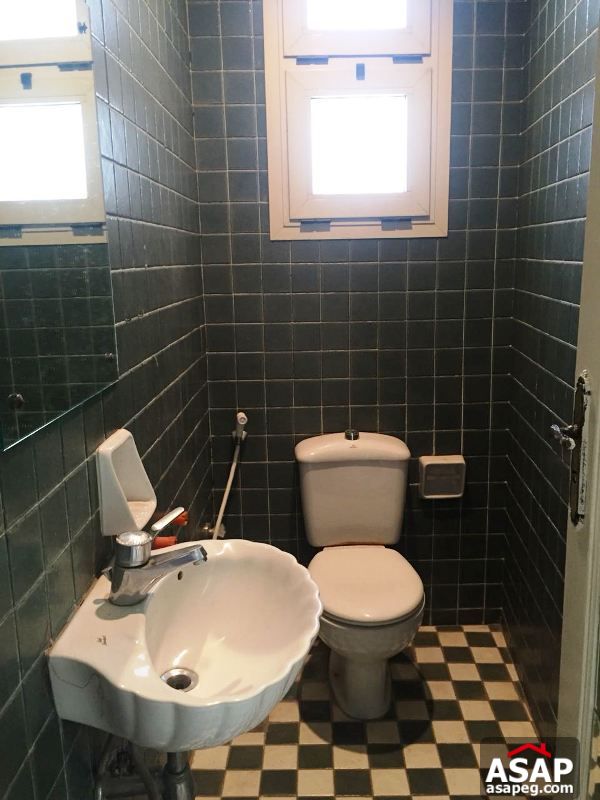 Flat with Balcony in Zamalek for Rent