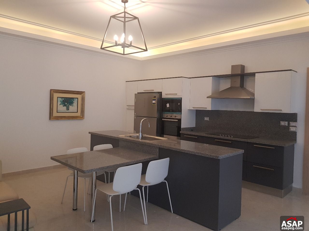 Furnished Basement for Rent in Lake View