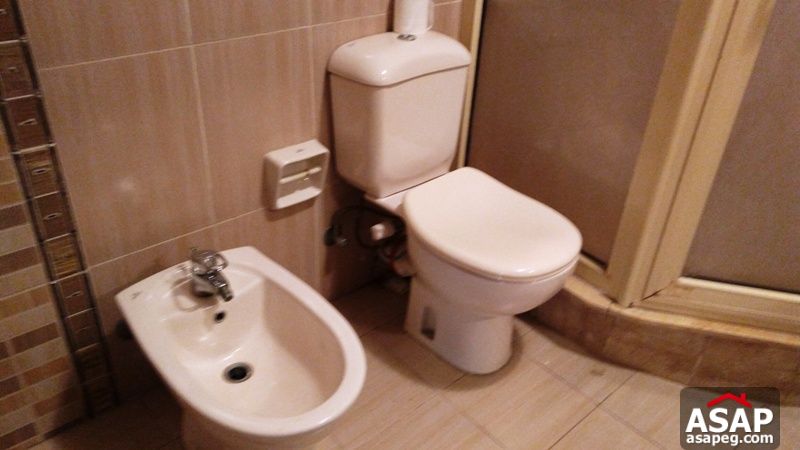 Apartment with Terrace for Rent in Zamalek Apartment with Terrace for Rent in Zamalek