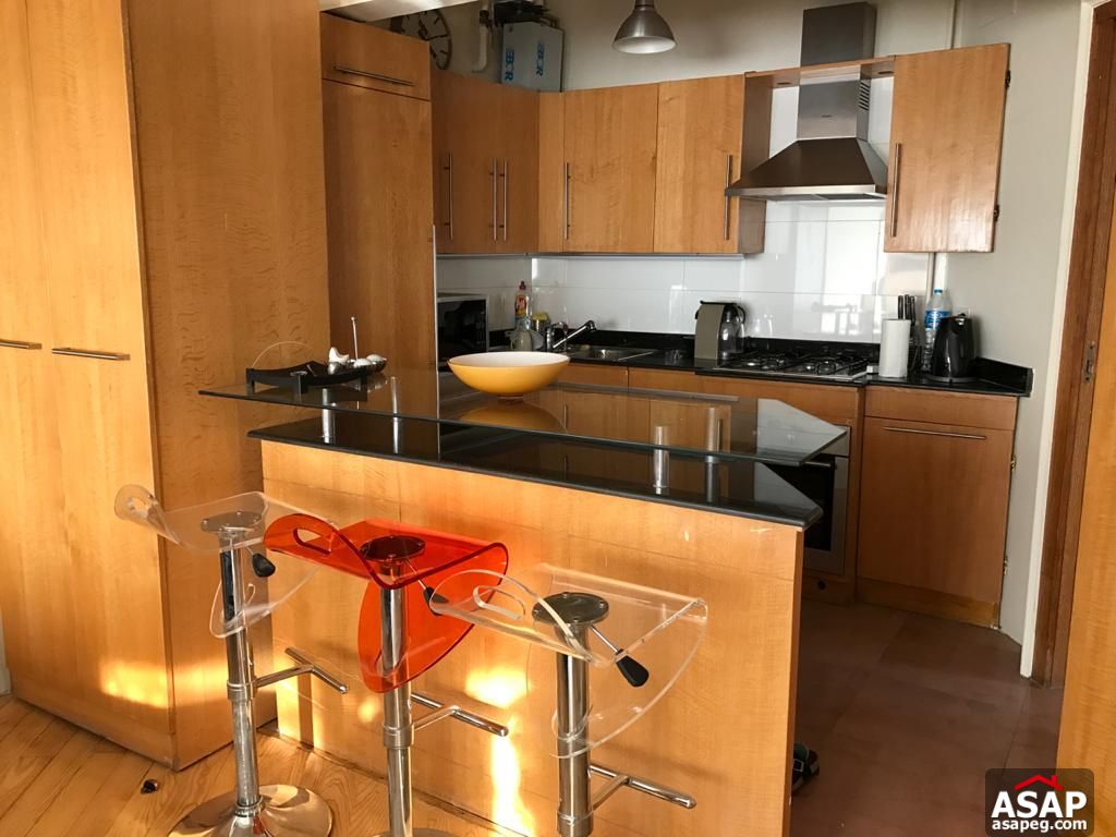 Furnished Studio for Rent in Zamalek Furnished Studio for Rent in Zamalek