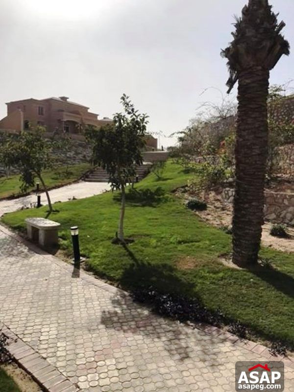 Twin House for Sale in Royal Meadows - Shiekh Zayed