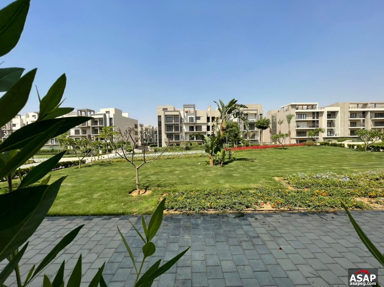 Apartment with Garden for Rent in Fifth Square Apartment with Garden for Rent in Fifth Square