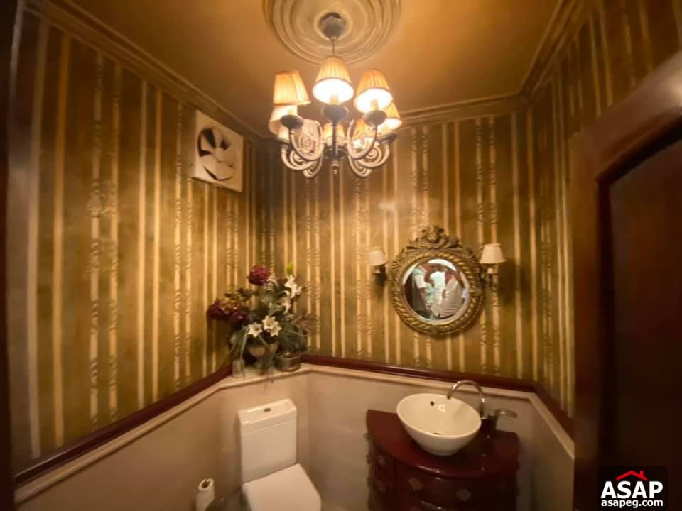 Apartment for Rent in Zamalek Apartment for Rent in Zamalek