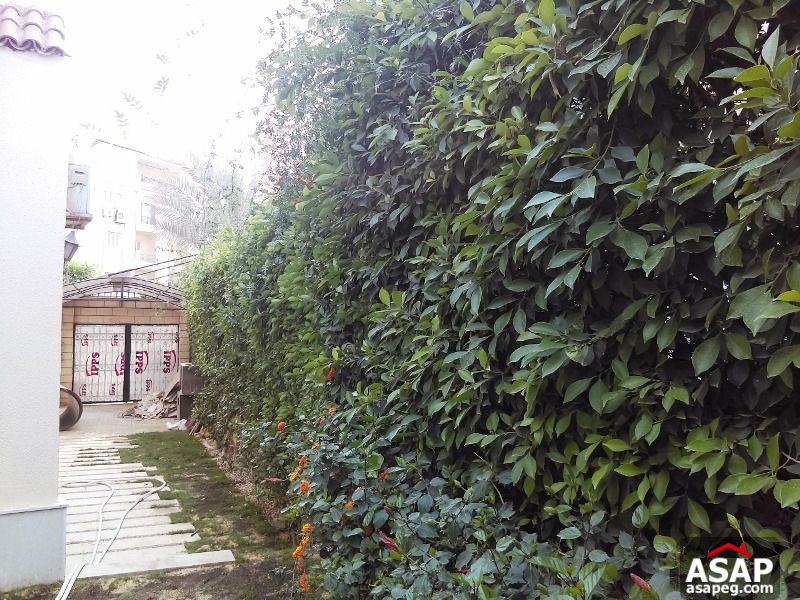 Town House for Rent in Sheikh Zayed