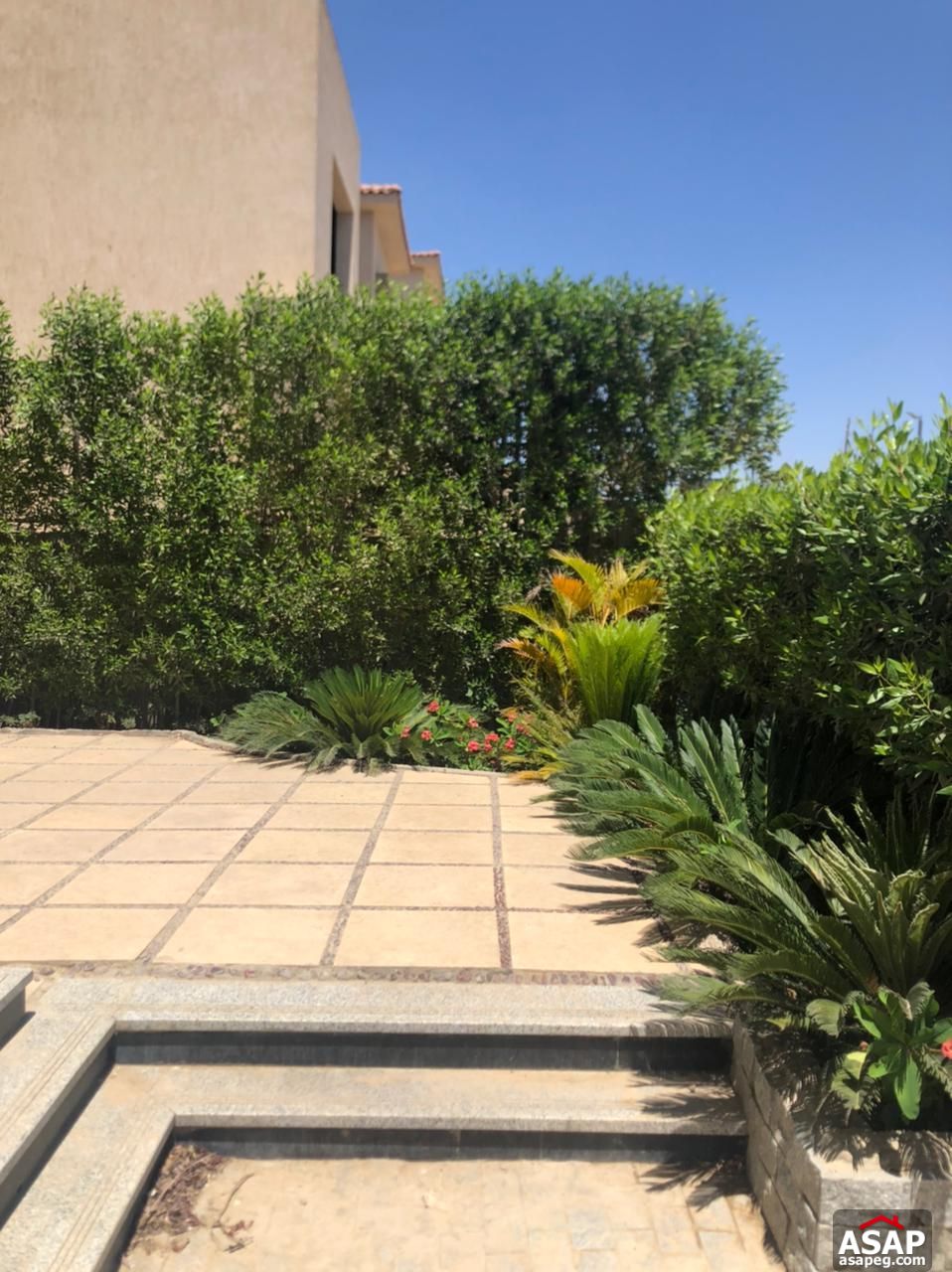 Stand Alone for Rent in Palm Hills Golf Extention