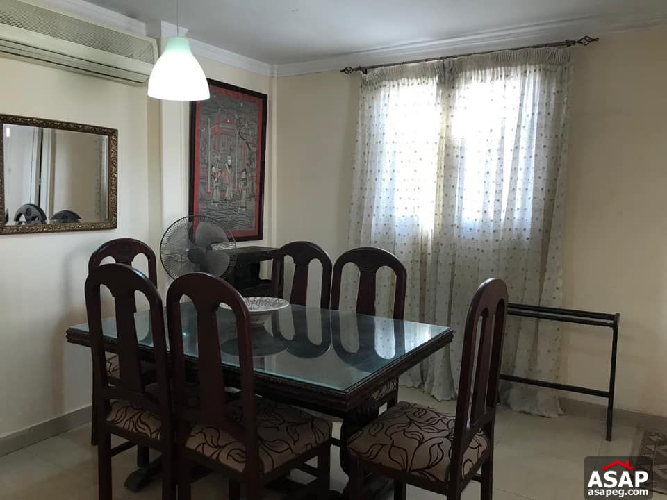 Apartment for Rent in Zamalek Apartment for Rent in Zamalek