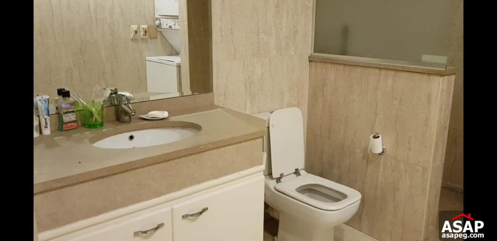 Apartment for Rent in Zamalek Apartment for Rent in Zamalek