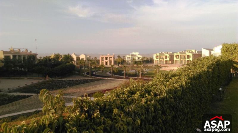 Villa for Rent in Allegria