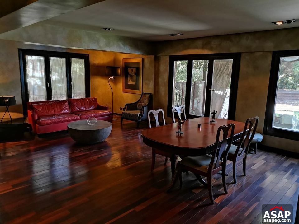 Duplex for Rent in Maadi Degla