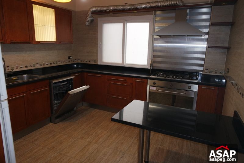 Apartment for Rent in Zamalek Apartment for Rent in Zamalek