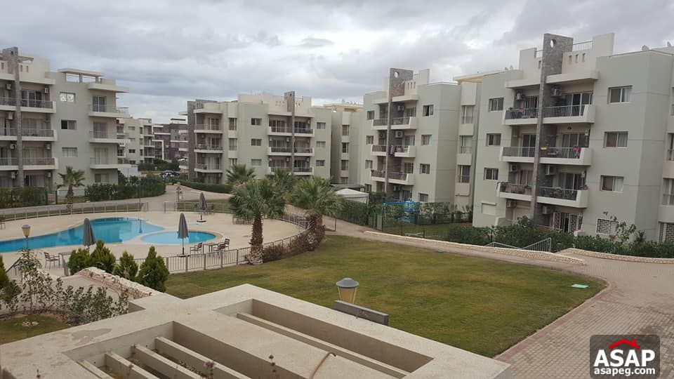 Apartment with Pool View for Rent in the Address - Sheikh Zayed Apartment with Pool View for Rent in the Address - Sheikh Zayed