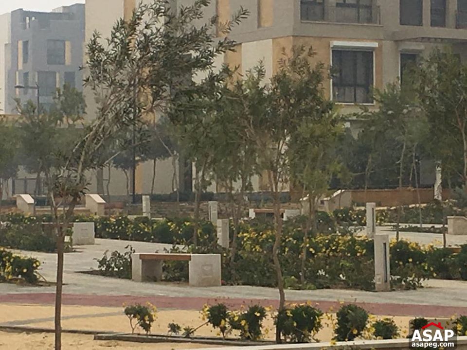 Duplex with Garden in Eastown for Rent