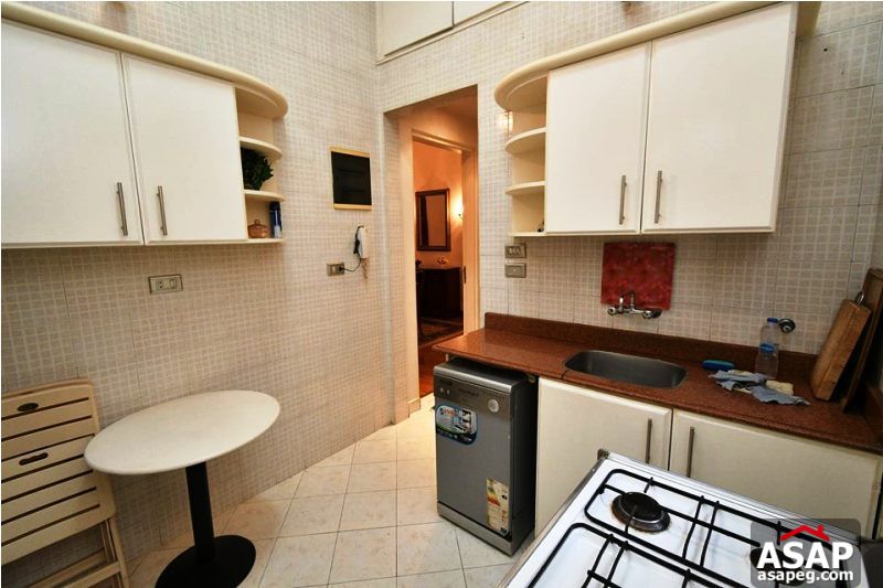 Furnished Apartment for Rent in Zamalek
