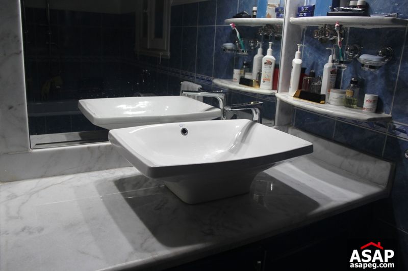 Apartment for rent in zamalek Apartment for rent in zamalek