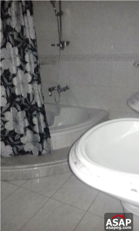 Furnished Duplex for Rent in Dokki Furnished Duplex for Rent in Dokki