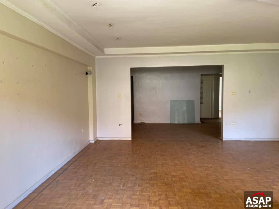 Apartment for Rent in Zamalek Apartment for Rent in Zamalek