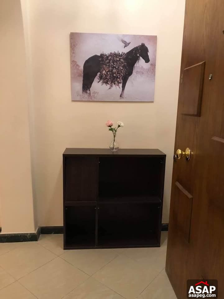 Apartment for Rent in Zamalek Apartment for Rent in Zamalek