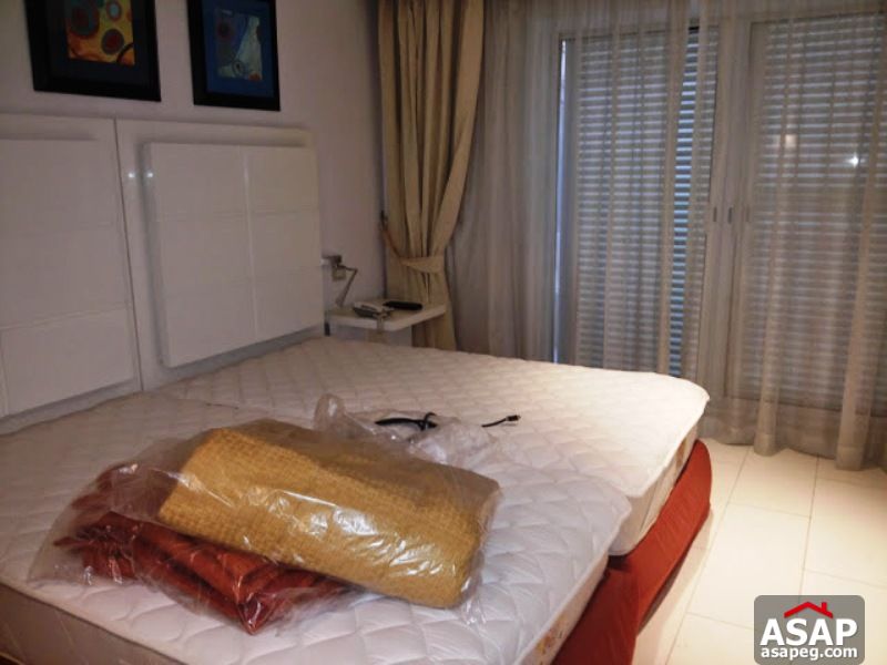 Apartment with Garden in Zamalek Apartment with Garden in Zamalek