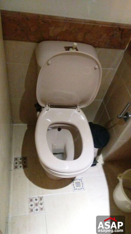 Apartment for rent in zamalek Apartment for rent in zamalek