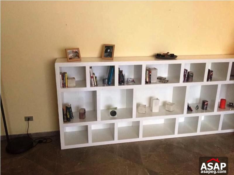 Nice Apartment in Zamalek for Rent Nice Apartment in Zamalek for Rent