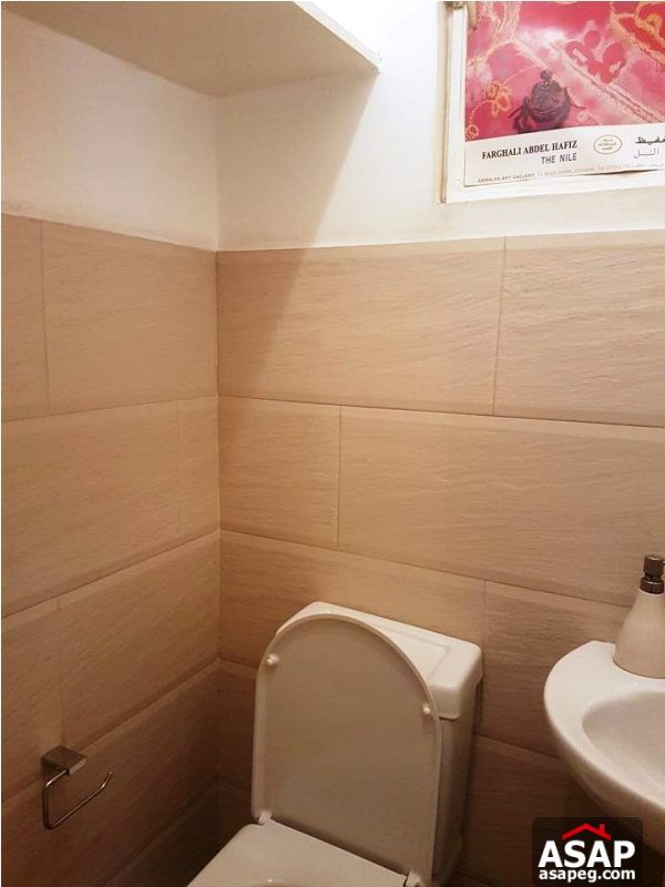 Apartment for Rent in Zamalek