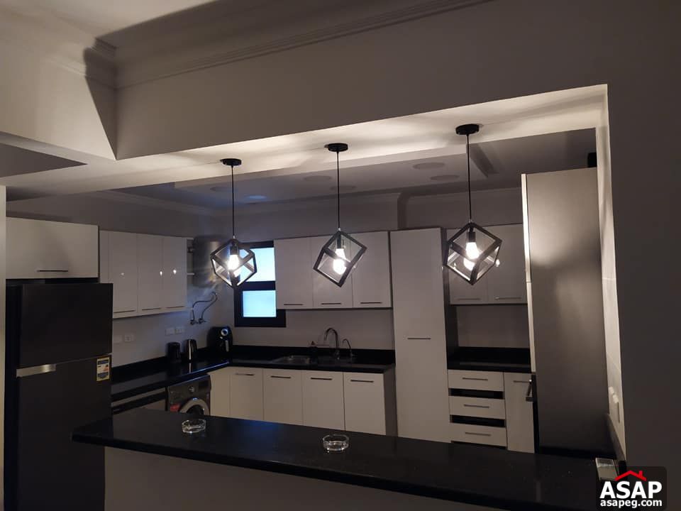 Furnished Apartment for Rent in Eastown Furnished Apartment for Rent in Eastown