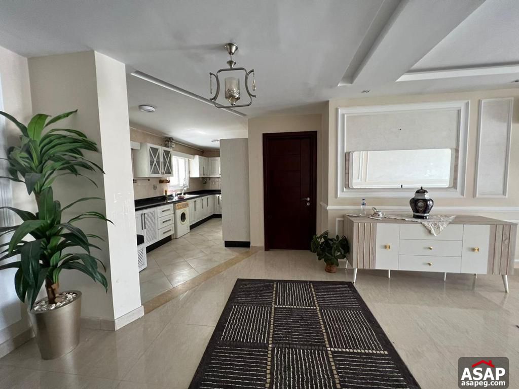 Furnished Apartment for Rent in Hyde Park Furnished Apartment for Rent in Hyde Park