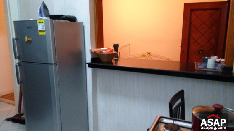 Apartment for Rent in Zamalek