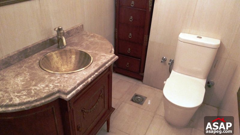 Apartment for rent in Dokki Apartment for rent in Dokki