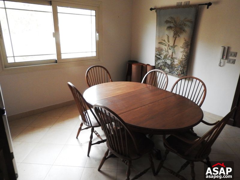 Modern Penthouse for Rent in Zamalek Modern Penthouse for Rent in Zamalek