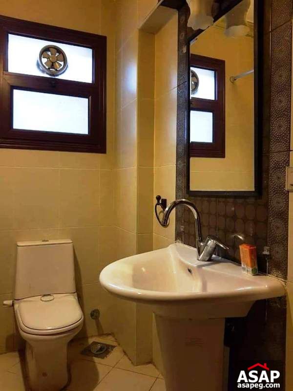 Furnished Apartment for Rent in Maadi Degla