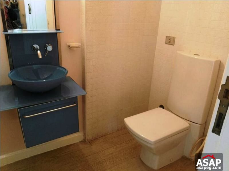 Apartment with Club View in Zamalek Apartment with Club View in Zamalek