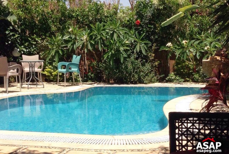 Fully Furnished Twin House for Rent in New Cairo Fully Furnished Twin House for Rent in New Cairo