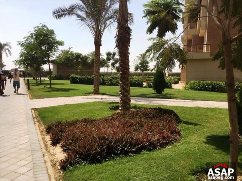 Semi Furnished Duplex in October for Rent