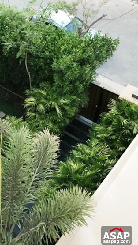 Twin House with Garden in Allegria