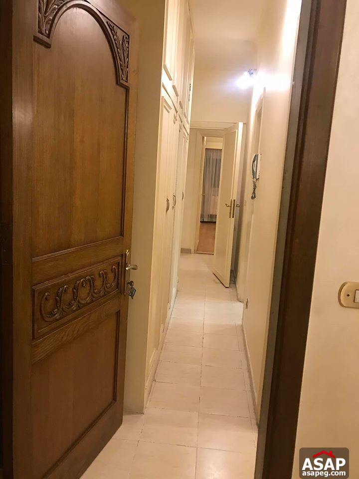 Apartment for Rent in Zamalek Apartment for Rent in Zamalek