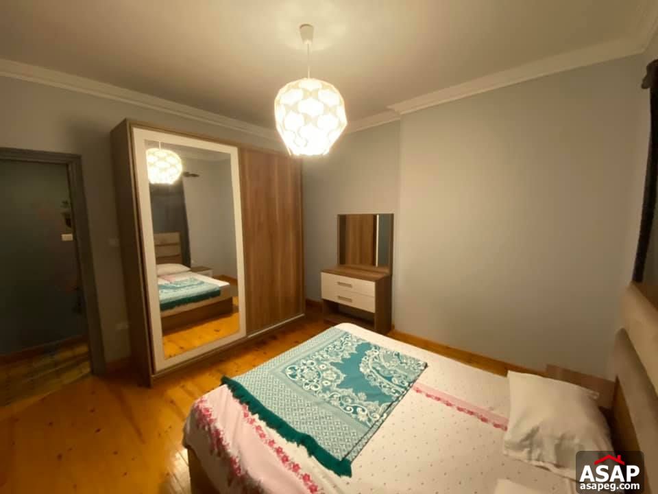 Apartment for Rent in Zamalek Apartment for Rent in Zamalek