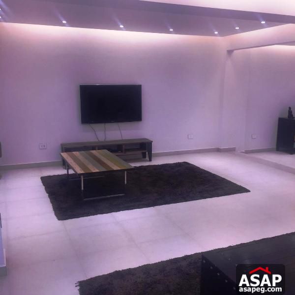 Furnished Apartment in Zamalek Furnished Apartment in Zamalek