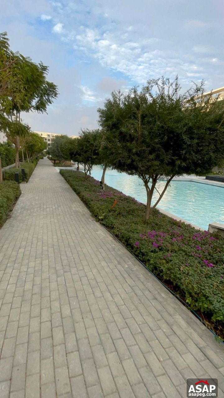 Apartment for Sale in Lake View Residence