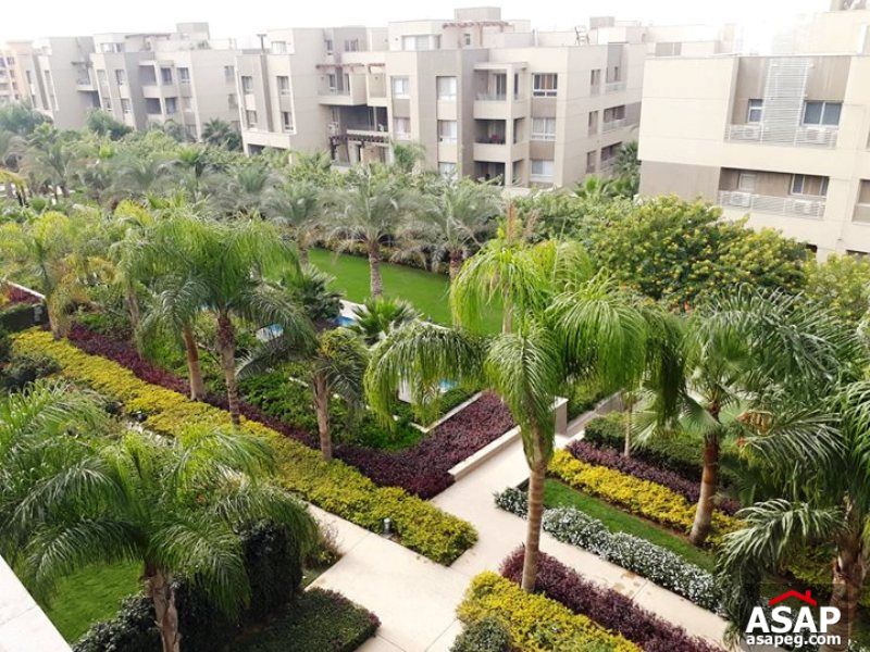 Penthouse for Rent in Park View Penthouse for Rent in Park View