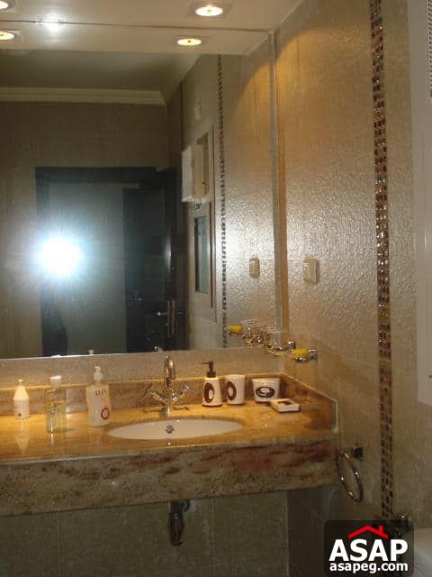 Apartment for Rent in Zamalek Apartment for Rent in Zamalek