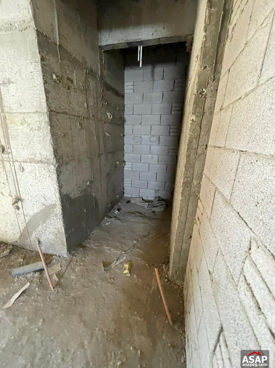 Penthouse with Pool for Sale in Lake View Residence Penthouse with Pool for Sale in Lake View Residence