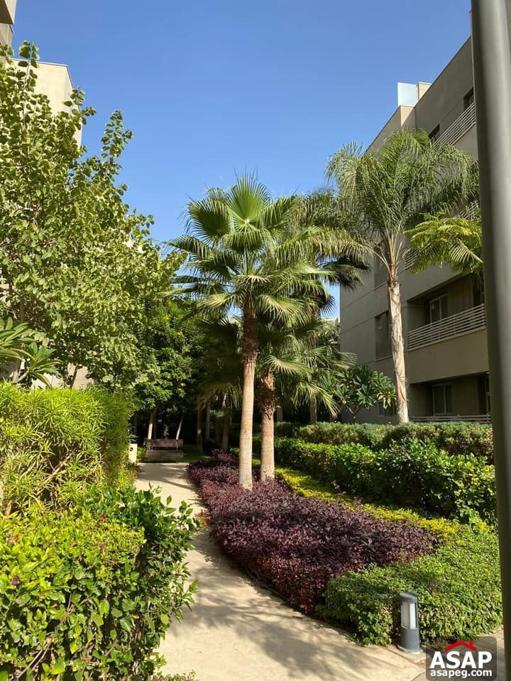 Apartment for Rent in Park View Hassan Allam Apartment for Rent in Park View Hassan Allam