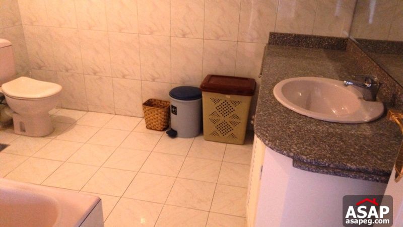 Apartment for rent in zamalek