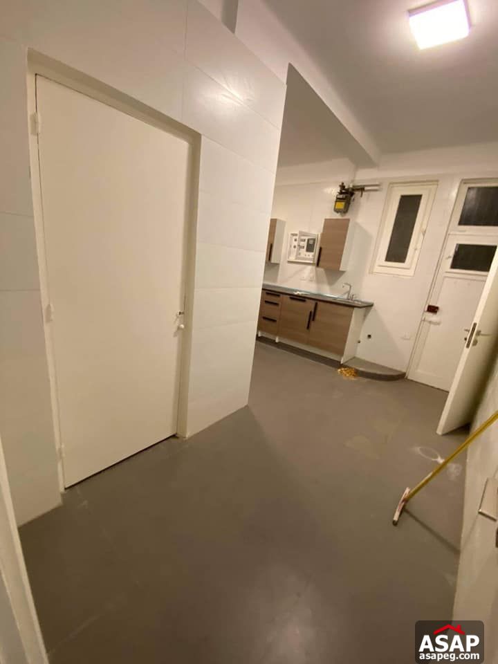 Apartment for Rent in Zamalek Apartment for Rent in Zamalek